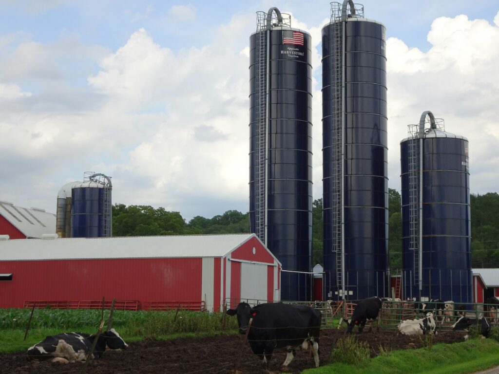 Essential Farming Knowledge: Cows, Poultry, and Equipment for Modern Farms farm
