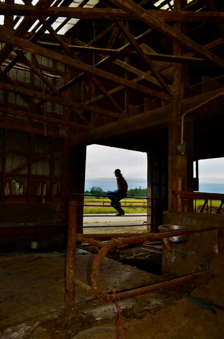 summer smyth bcjpg2vemay unsplash