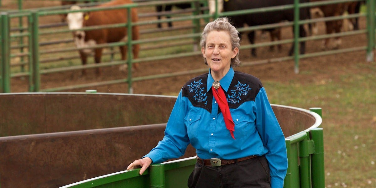 temple grandin 1